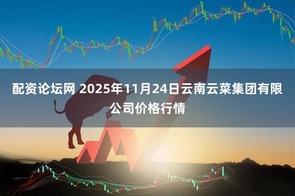 配资论坛网 2025年11月24日云南云菜集团有限公司价格行情